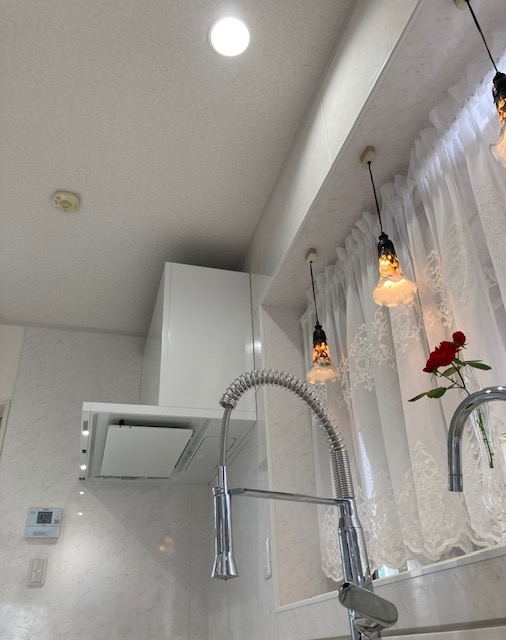 BOtechnical 画像2